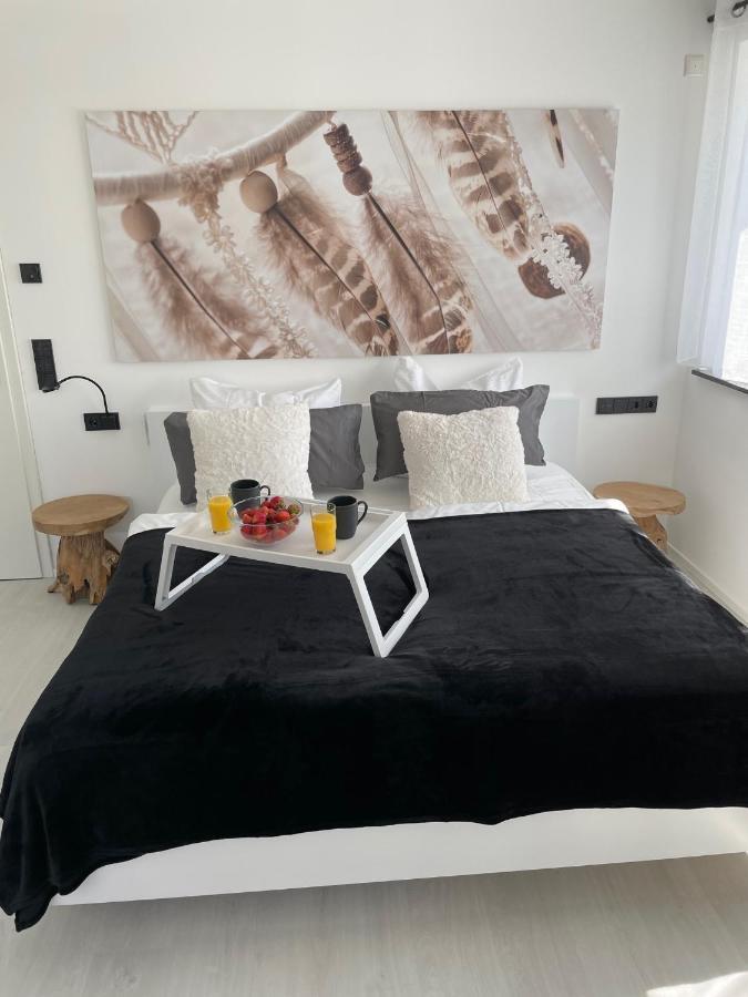 Apartments Saaldorf-Ferienhaus Mit 6 Apartments 45Qm-120Qm Direkt Am Thueringer Meer-Bleilochtalsperre Bad Lobenstein Ngoại thất bức ảnh
