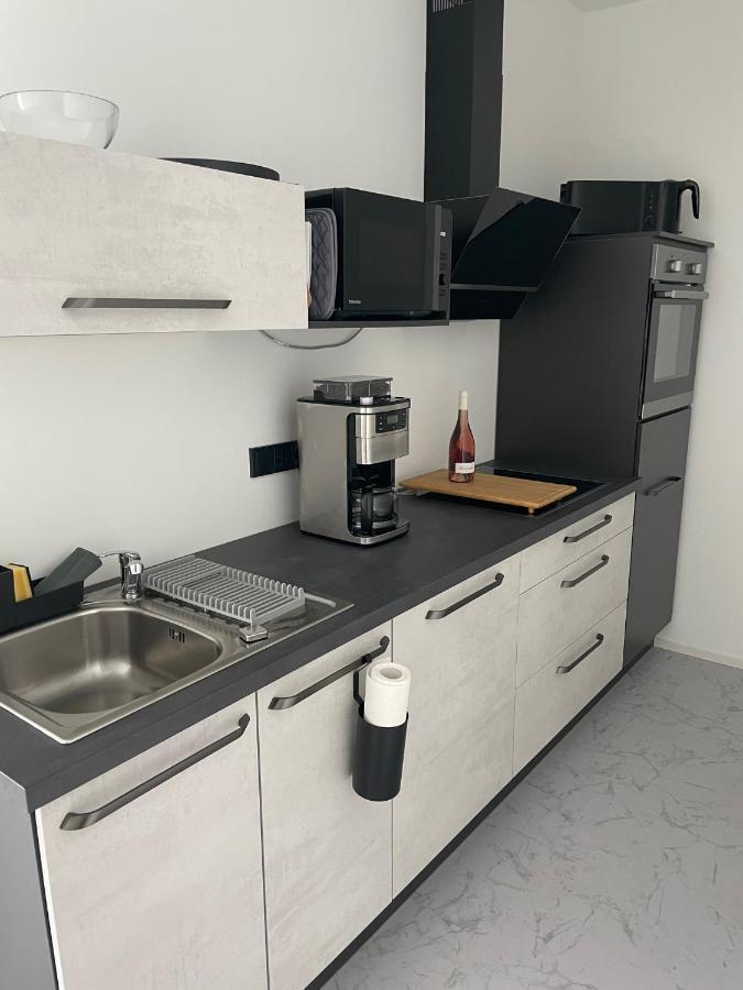 Apartments Saaldorf-Ferienhaus Mit 6 Apartments 45Qm-120Qm Direkt Am Thueringer Meer-Bleilochtalsperre Bad Lobenstein Ngoại thất bức ảnh