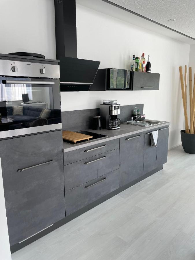 Apartments Saaldorf-Ferienhaus Mit 6 Apartments 45Qm-120Qm Direkt Am Thueringer Meer-Bleilochtalsperre Bad Lobenstein Ngoại thất bức ảnh