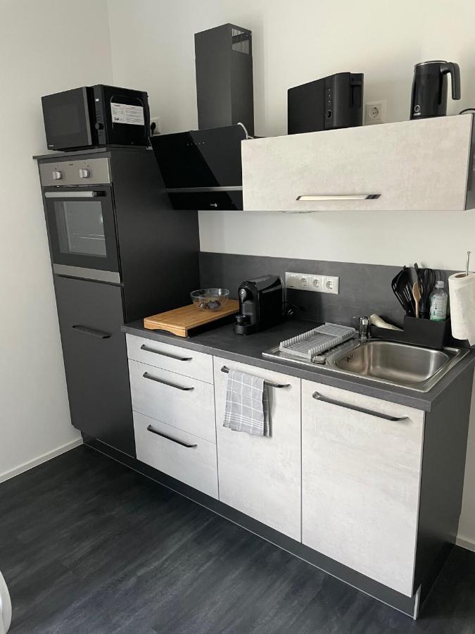 Apartments Saaldorf-Ferienhaus Mit 6 Apartments 45Qm-120Qm Direkt Am Thueringer Meer-Bleilochtalsperre Bad Lobenstein Ngoại thất bức ảnh
