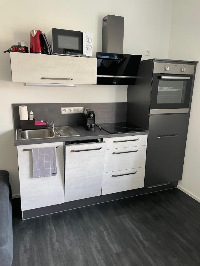Apartments Saaldorf-Ferienhaus Mit 6 Apartments 45Qm-120Qm Direkt Am Thueringer Meer-Bleilochtalsperre Bad Lobenstein Ngoại thất bức ảnh