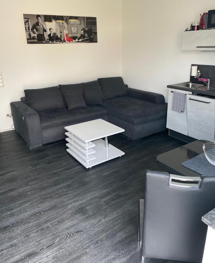 Apartments Saaldorf-Ferienhaus Mit 6 Apartments 45Qm-120Qm Direkt Am Thueringer Meer-Bleilochtalsperre Bad Lobenstein Ngoại thất bức ảnh