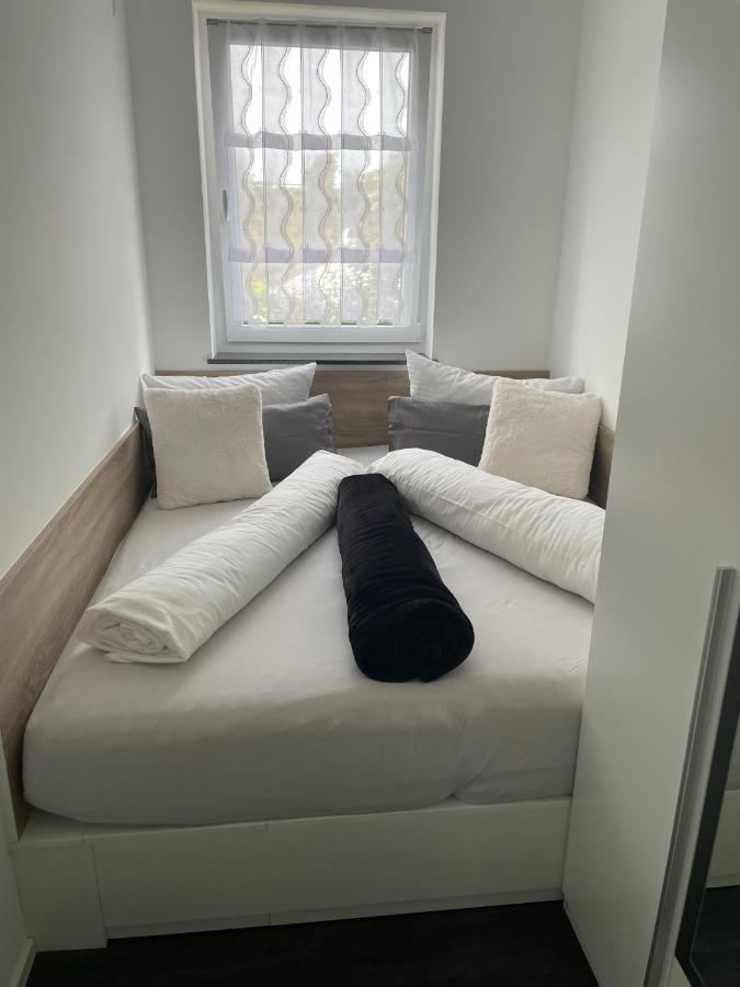 Apartments Saaldorf-Ferienhaus Mit 6 Apartments 45Qm-120Qm Direkt Am Thueringer Meer-Bleilochtalsperre Bad Lobenstein Ngoại thất bức ảnh